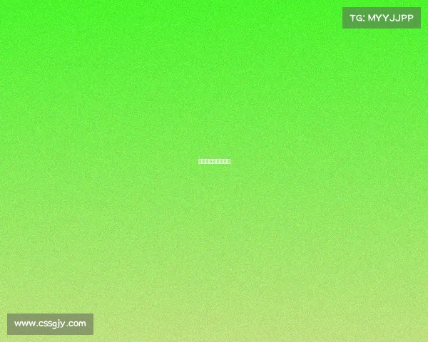 法国队赛事记录查询